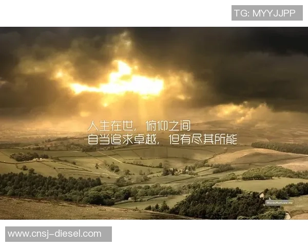 许钟豪的成长之路与奋斗精神探讨:从平凡到卓越的励志故事