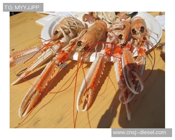 挪威与冰岛激战正酣比赛结果揭晓精彩瞬间回顾